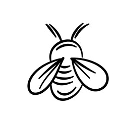 Hand drawn insect doodle 