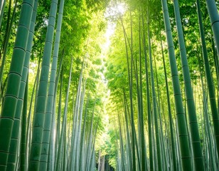 Lush green bamboo forest path, sunlight filtering through leaves