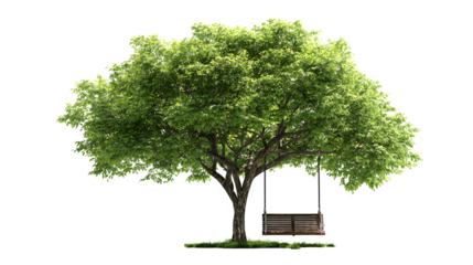 Tree with swing bench isolated on white background