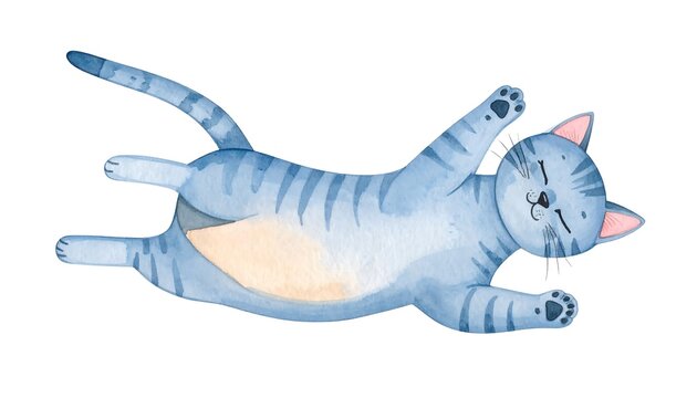 Sleepy gray cat lying down