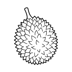 hand drawn illustration of a durian coloring page on white background 