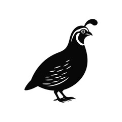 Black silhouette of a quail with a plume