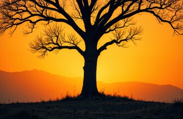 Fototapeta premium A solitary tree with bare branches stands against a vibrant orange sunset sky