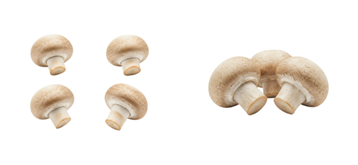 Fresh white mushrooms group nature setting food natural environment culinary concept. Cut out PNG set