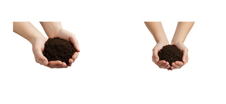 Hands holding rich soil garden setting nature earthy environment focused perspective sustainable gardening concept. Cut out PNG set