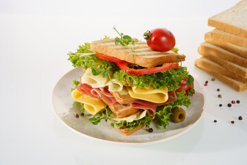Delicious multi-layered sandwich with fresh vegetables and deli meats arranged on a plate