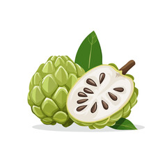 Obraz premium Custard apple illustration whole and sliced with leaves. Tropical fruit drawing on black background