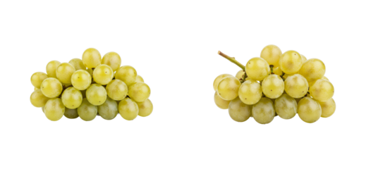 Fresh green grapes harvested in a farm food natural setting. Cut out PNG set