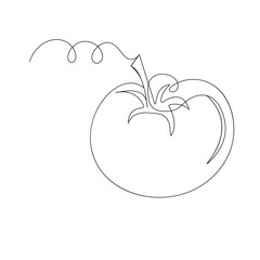 Tomato icon   continuous one line drawing of outline vector illustration