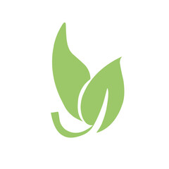 natural green leaf vector
