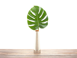 Single large monstera leaf in glass vase centered