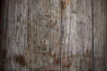 Old Shabby Wooden Planks. wooden, retro, vintage background. old cracked paint on wooden boards. close-up, macro photo. cracks, rough. background for screensaver or text