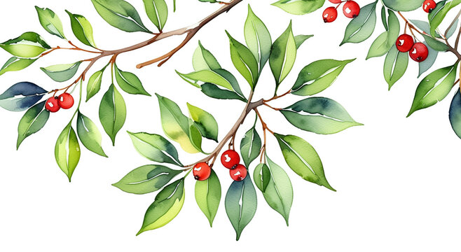 A watercolor illustration of holly branches with green leaves and red berries, creating a festive border on a white background.