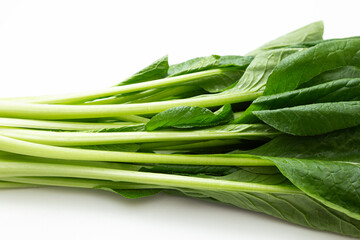 小松菜　白バック