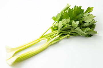 セロリ　白バック
