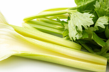 Fototapeta premium カットしたセロリ 白バック