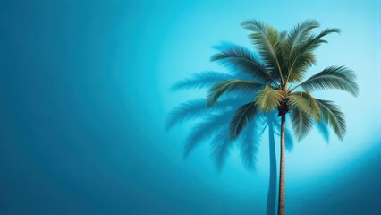 Obraz premium Palm tree shadow on a blue background