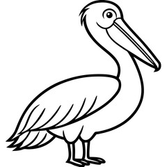 Pelican line art vector