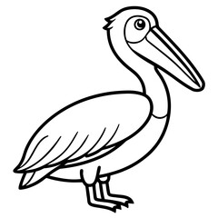 Pelican line art vector