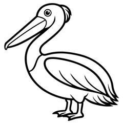 Pelican line art vector