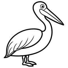 Pelican line art vector