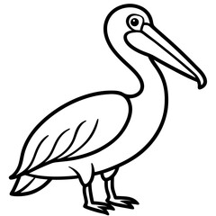 Pelican line art vector