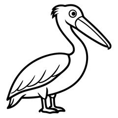 Pelican line art vector
