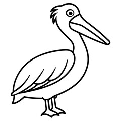Pelican line art vector