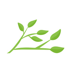 vector natural green leaf branch