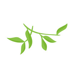 vector natural green leaf branch