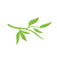 vector natural green leaf branch