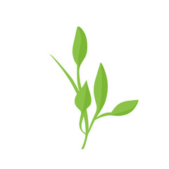 vector natural green leaf branch