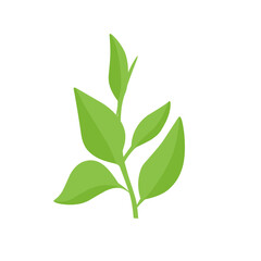 vector natural green leaf branch