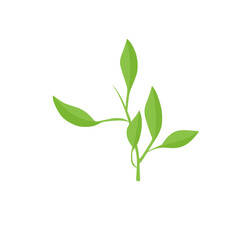 vector natural green leaf branch