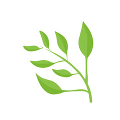 Obraz premium vector natural green leaf branch