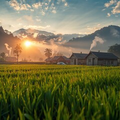 sunset over the fieldSunrise Over Peaceful Countryside Village with Lush Green Rice Fields