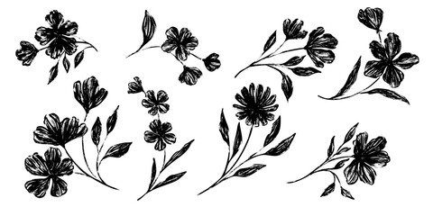 Flower abstract hand drawn brush ink or chalk stroke. Sketch hand drawn silhouette floral plant, leaf grunge abstract vector illustration. Simple flower, leaf charcoal, pencil, crayon style elements