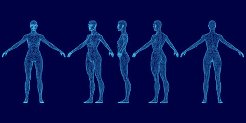 A female wireframe figure stands with outstretched limbs on a blue background, showcasing human anatomy. Her tilted head and detailed facial features are clearly defined.
