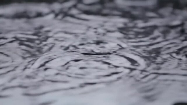Serene Raindrops Loop with Crossfade Effect for Relaxing Ambient Background