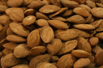 Macro shot of Prunus davidiana Fr. (Do-in), a medicinal peach kernel traditionally used to invigorate blood flow, support bowel movement, and enhance digestive health. Photographed in Korea.