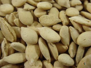 Detailed view of Benincasa hispida Cogniaux (Dong-gwa-ja), a Korean medicinal seed known for reducing water retention, easing inflammation, and cleansing the body. Photographed in Korea.