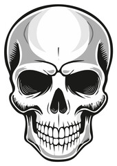 Fototapeta premium Detailed black and white human skull illustration with shaded contours and teeth