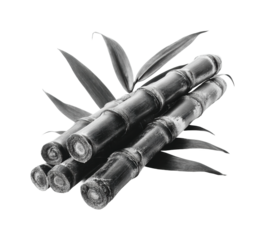 Harvesting sugar cane agricultural field natural, isolated on transparent background, png