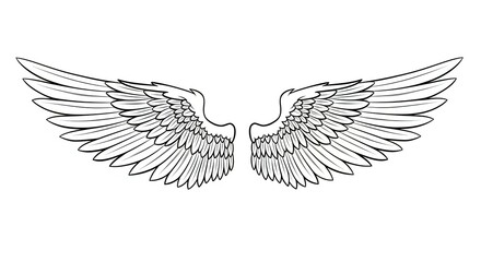 Obraz premium Detailed vector illustration of two beautiful feathered wings outstretched on a white background perfect for graphic design or artistic projects