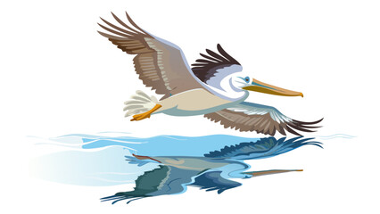Obraz premium Soaring Pelican Vector Icon - Flight Over Calm Water Reflection