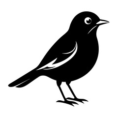 Warbler vector clean black silhouette design white background