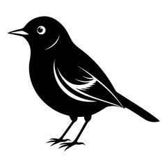 Warbler vector clean black silhouette design white background
