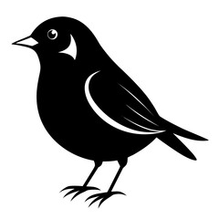 Warbler vector clean black silhouette design white background
