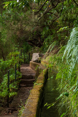 Sentier de randonn&eacute;e vers la Levada das 25 Fontes &agrave; Mad&egrave;re