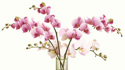 Fototapeta premium Arrangement of pink and white orchids in a clear glass vase against a light background blooms displayed